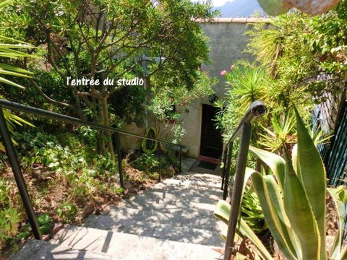 Studio A Theoule Sur Mer A 400 M De La Plage Avec Vue Sur La Mer Terrasse Amenagee Et Wifi Théoule-sur-Mer Exterior photo